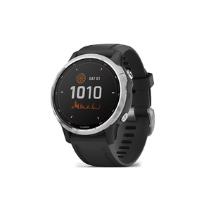 Смарт-часы Garmin fenix 6S Solar, Silver w/Black Band (010-02409-00)