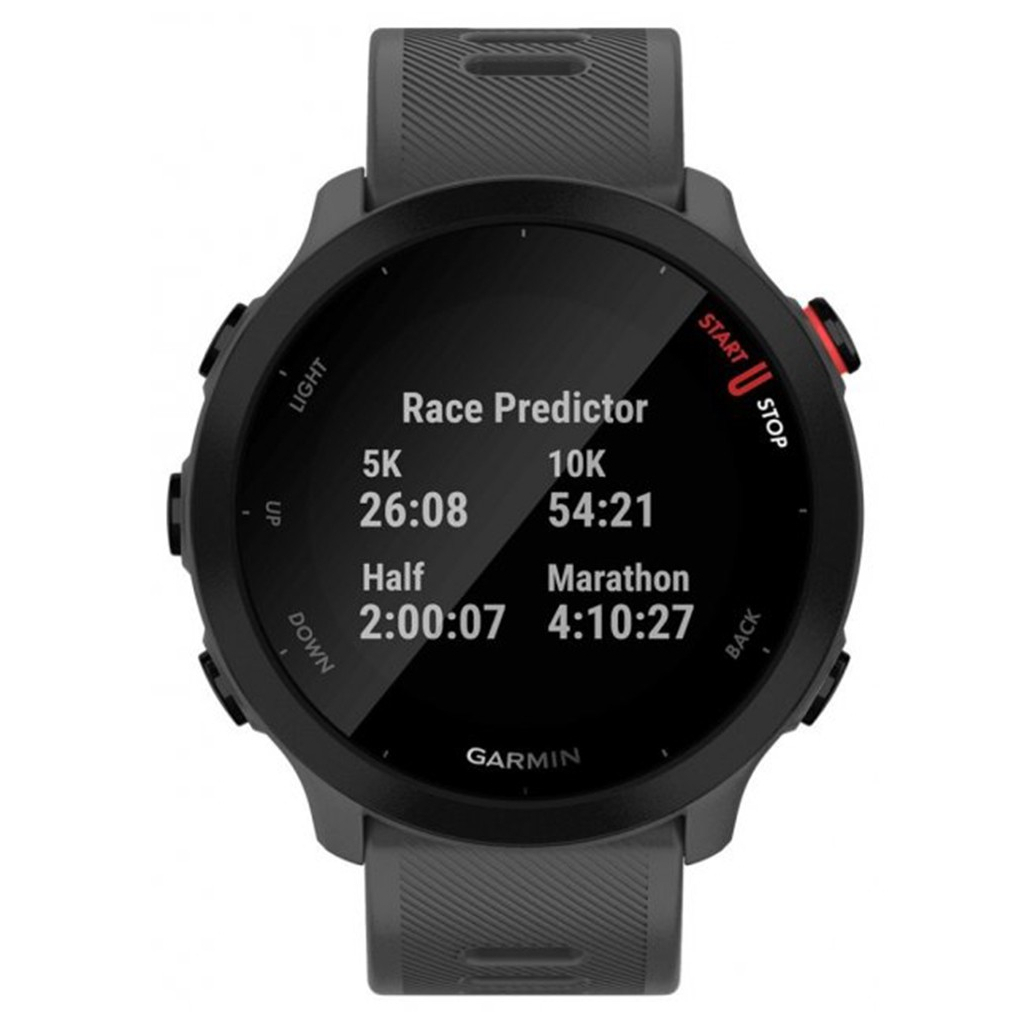 Смарт-часы Garmin Forerunner 55, Monterra Grey (010-02562-13) - 1