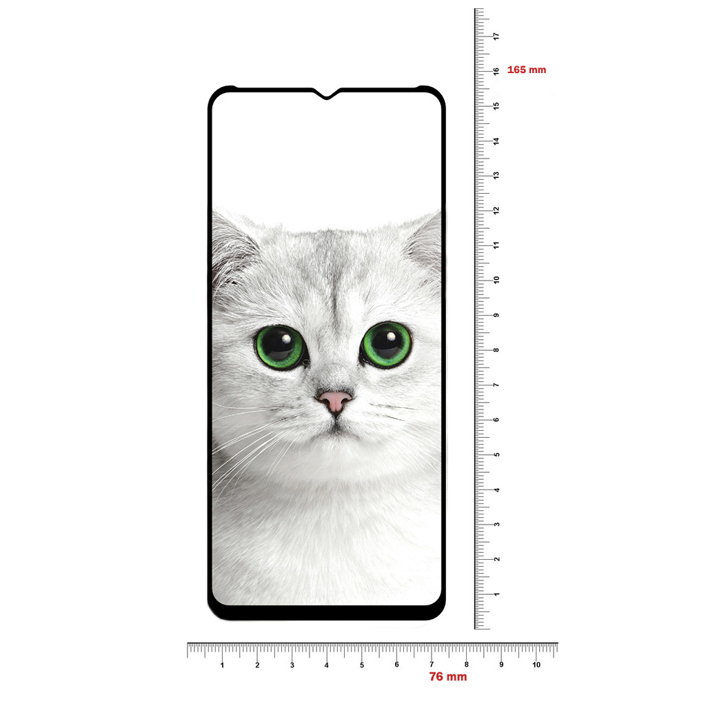 Стекло защитное BeCover Realme C21Y Black (706904) - 1