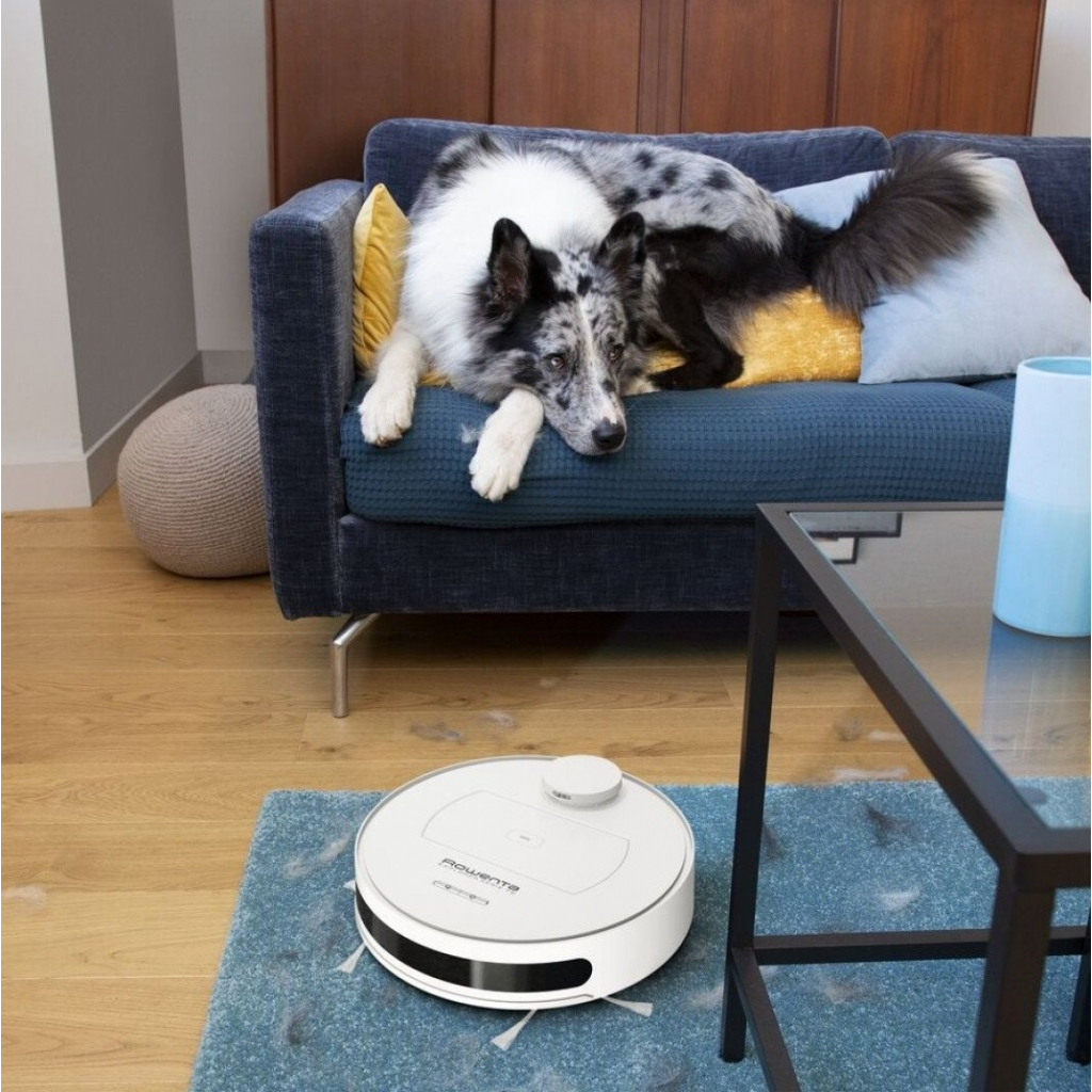 Пылесос Rowenta RR7687WH - 3