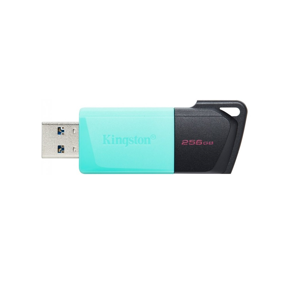 USB флеш накопитель Kingston 256GB DataTraveler Exodia M USB 3.2 (DTXM/256GB) - 1