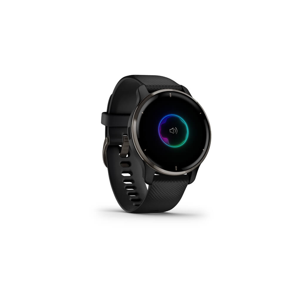 Смарт-часы Garmin Venu 2 Plus, Black + Slate, GPS (010-02496-11) - 2
