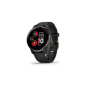 Смарт-часы Garmin Venu 2 Plus, Black + Slate, GPS (010-02496-11)