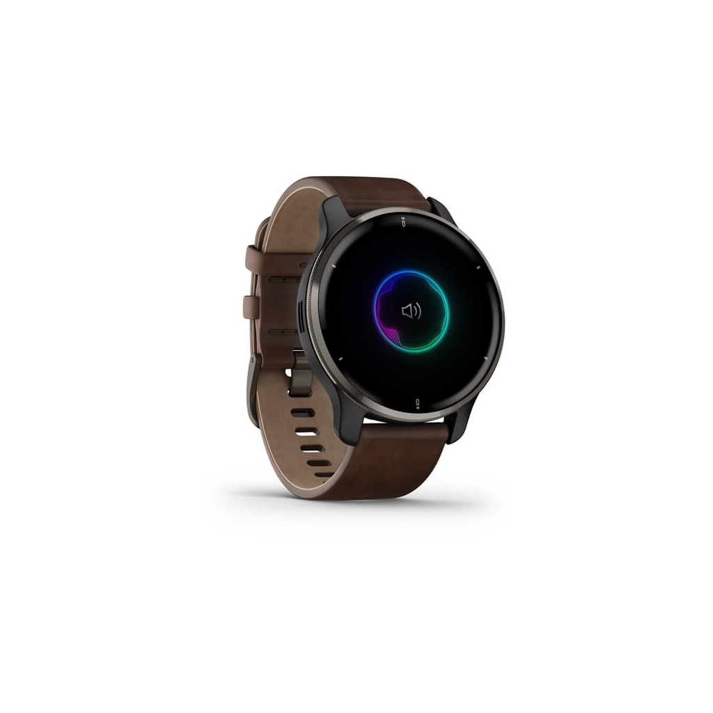 Смарт-часы Garmin Venu 2 Plus, Black + Slate, Leather, GPS (010-02496-15) - 2