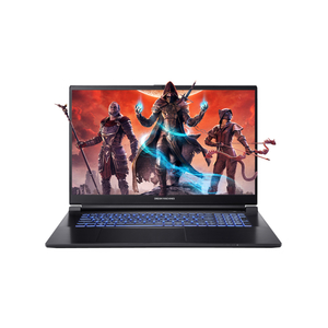 Ноутбук Dream Machines RG3060-17 (RG3060-17UA37)