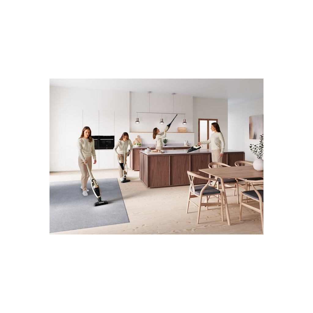 Пылесос Electrolux WQ71-P52SS - 3