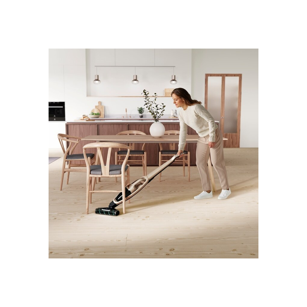 Пылесос Electrolux WQ71-P52SS - 6