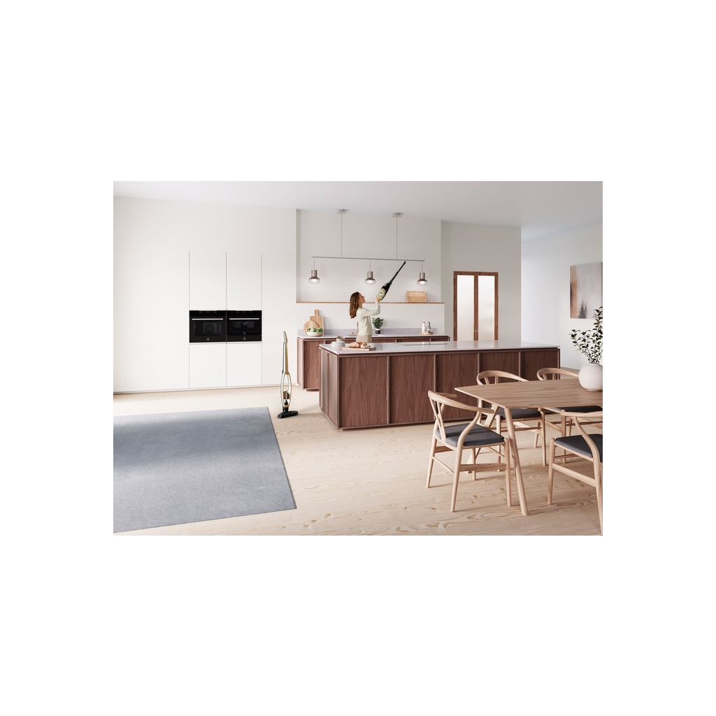 Пылесос Electrolux WQ71-P52SS - 8