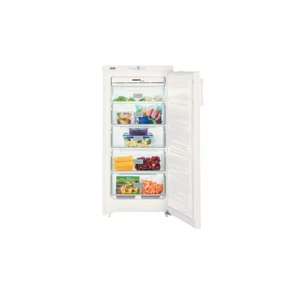 Морозильная камера Liebherr GNP 1913 - 1