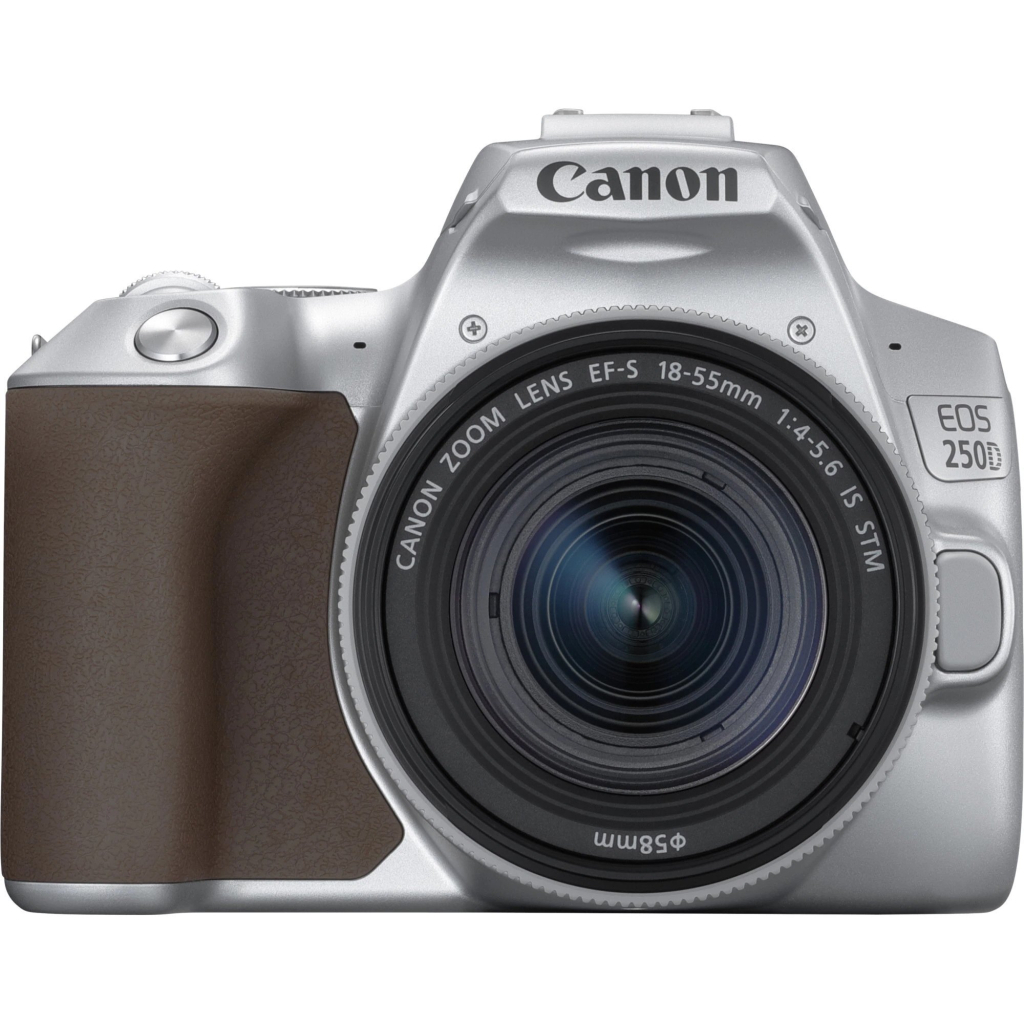 Цифровой фотоаппарат Canon EOS 250D kit 18-55 IS STM Silver (3461C003) - 1