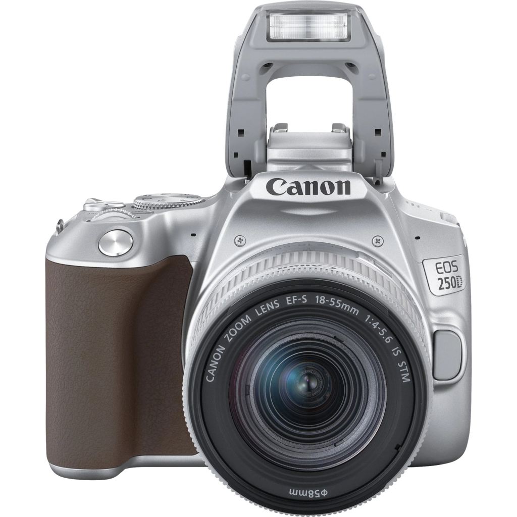 Цифровой фотоаппарат Canon EOS 250D kit 18-55 IS STM Silver (3461C003) - 5