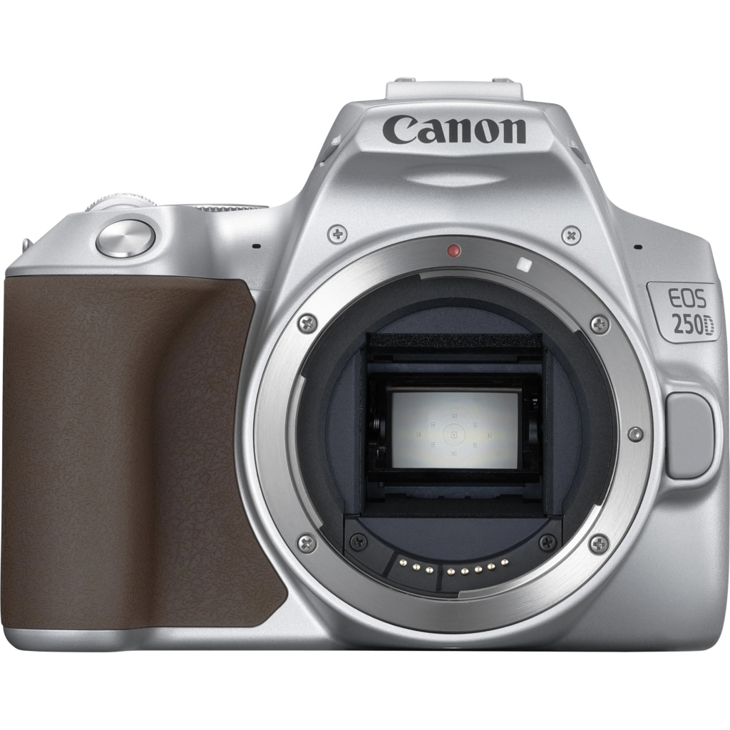 Цифровой фотоаппарат Canon EOS 250D kit 18-55 IS STM Silver (3461C003) - 8