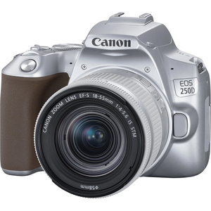 Цифровой фотоаппарат Canon EOS 250D kit 18-55 IS STM Silver (3461C003)