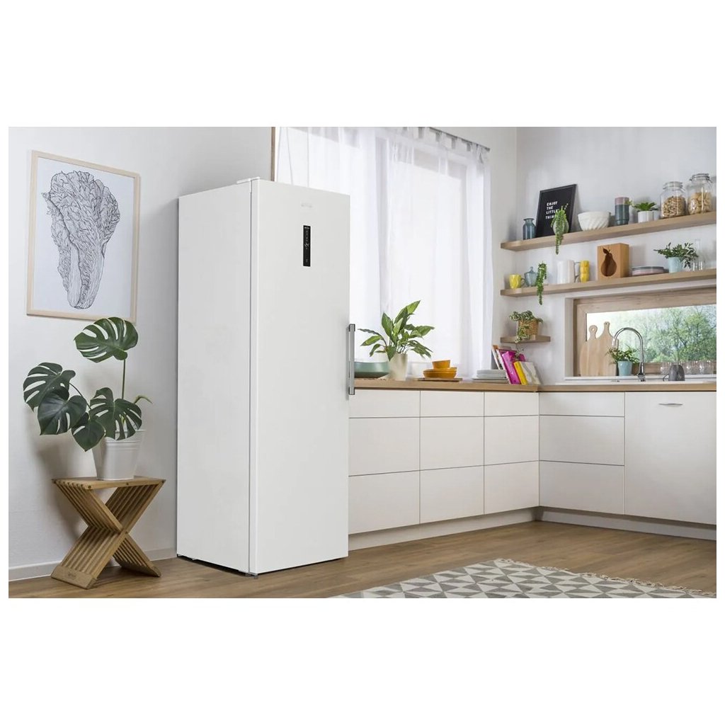 Морозильная камера Gorenje FNP619EAW6L - 1
