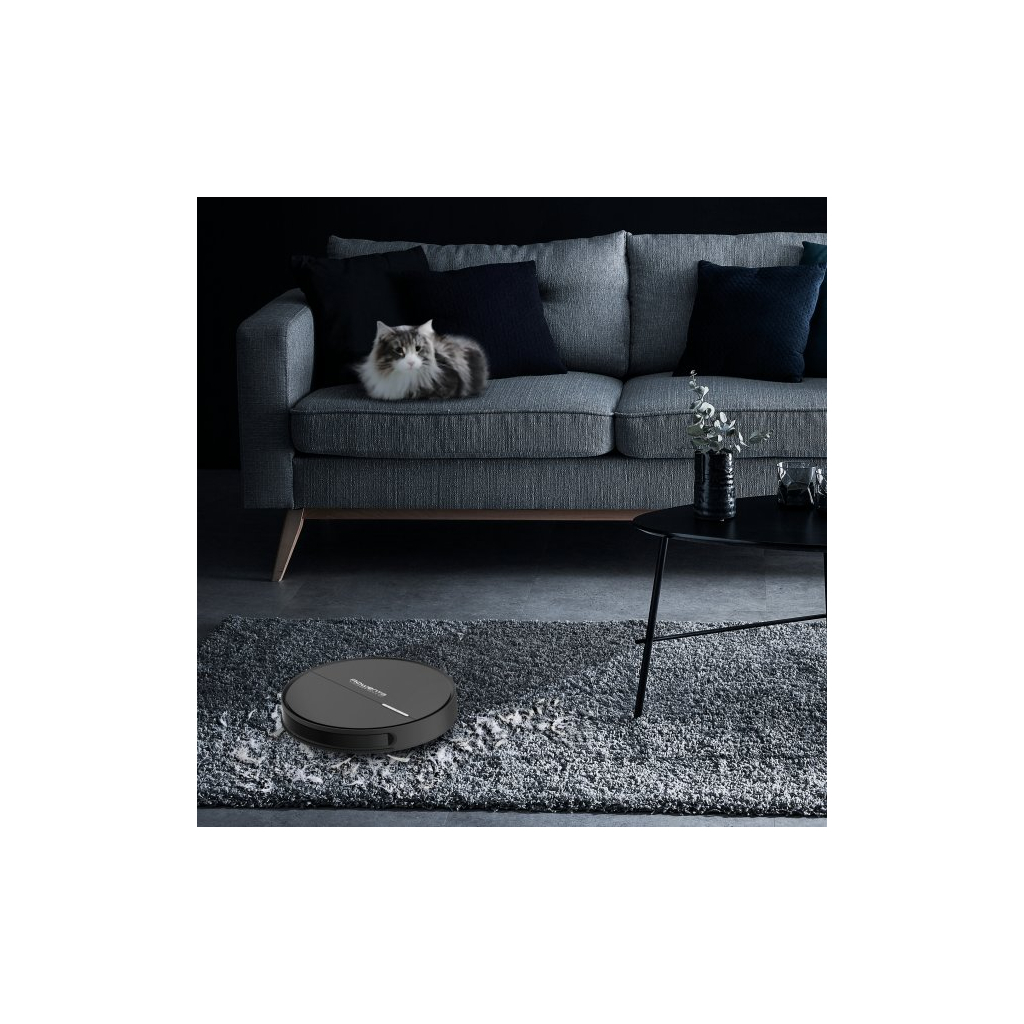 Пылесос Rowenta RR7455WH - 6