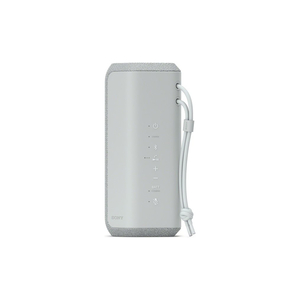 Акустическая система Sony SRS-XE200 Grey (SRSXE200H.RU2)