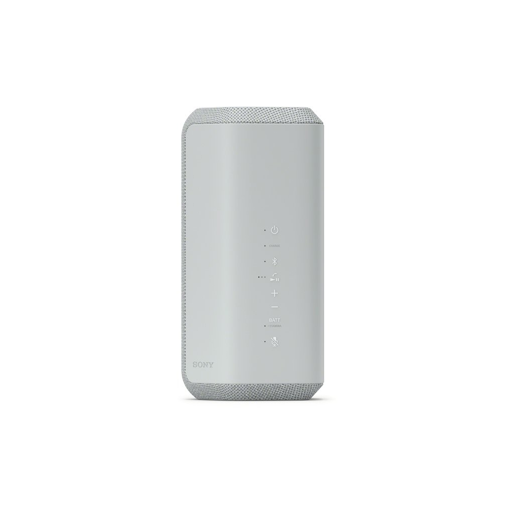 Акустическая система Sony SRS-XE300 Grey (SRSXE300H.RU2)
