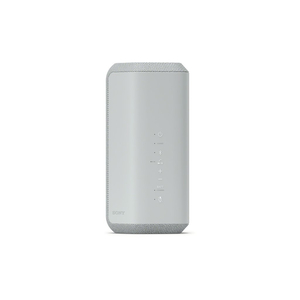Акустическая система Sony SRS-XE300 Grey (SRSXE300H.RU2)