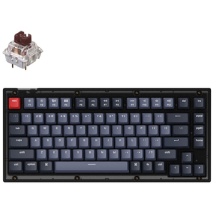 Клавиатура Keychron V1 84 Key QMK Gateron G PRO Brown Hot-Swap RGB Frosted Black (V1A3_KEYCHRON)