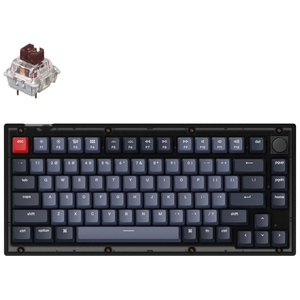 Клавиатура Keychron V1 84 Key QMK Gateron G PRO Brown Hot-Swap RGB Knob Frosted Black (V1C3_KEYCHRON)