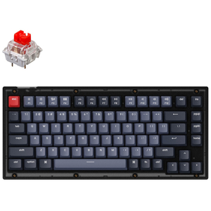 Клавиатура Keychron V1 84 Key QMK Gateron G PRO Red Hot-Swap RGB Frosted Black (V1A1_KEYCHRON)