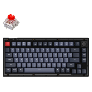 Клавиатура Keychron V1 84 Key QMK Gateron G PRO Red Hot-Swap RGB Knob Frosted Black (V1C1_KEYCHRON)