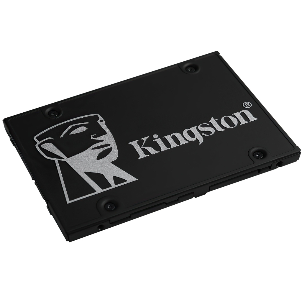 Накопитель SSD 2.5" 256GB Kingston (OCP0S3256B-A0) - 1