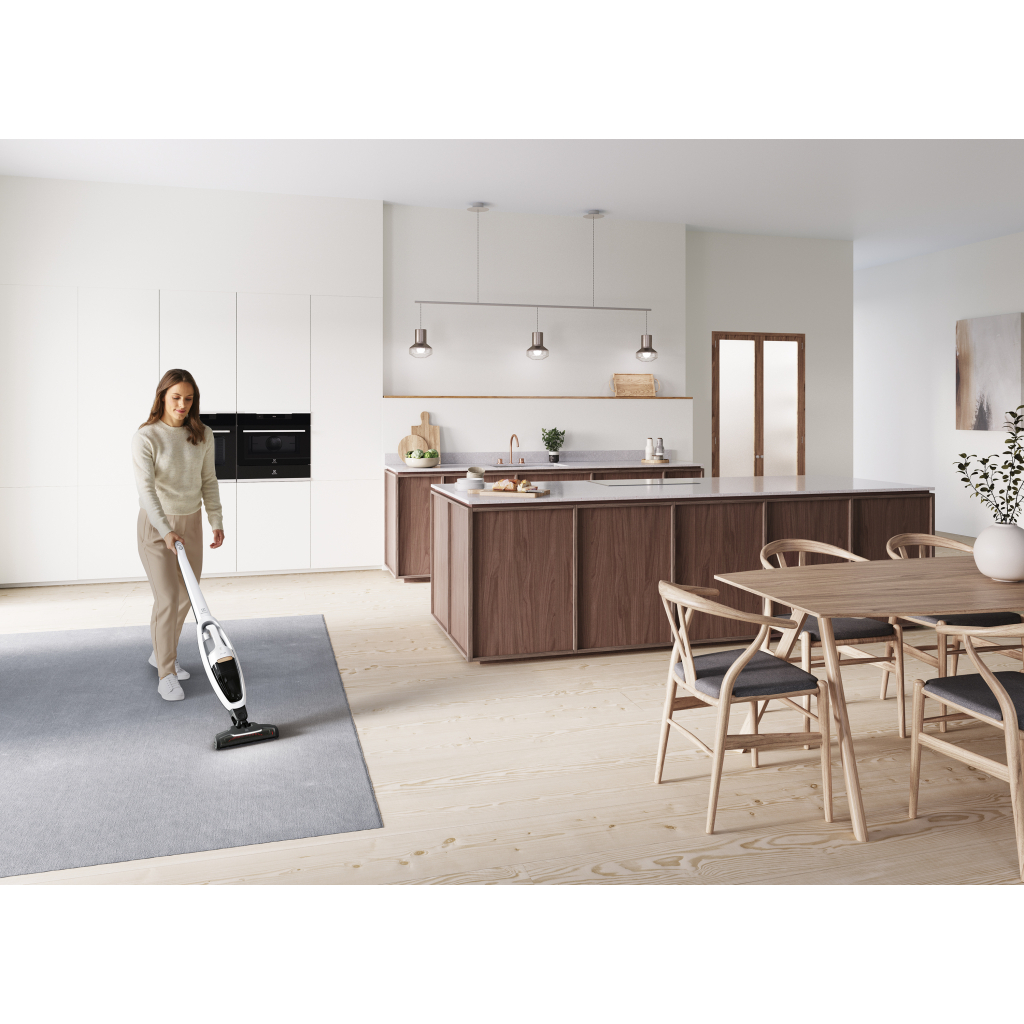 Пылесос Electrolux WQ81-ALRS - 6