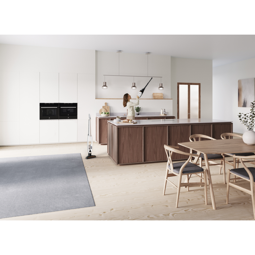Пылесос Electrolux WQ81-ALRS - 7