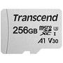 Карта памяти Transcend 256GB microSDXC class 10 UHS-I (TS256GUSD300S-A) - 1