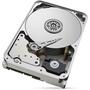 Жесткий диск 3.5" 14TB Seagate (ST14000VN0008) - 3