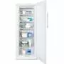 Морозильная камера Electrolux EUF 2205 AOW (EUF2205AOW) - 1