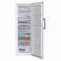 Морозильная камера Beko RFNE 312E23 W (RFNE312E23W) - 2