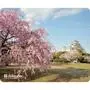 Коврик для мышки Defender Silk Pad Nature (50707) - 3