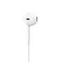 Наушники Apple iPod EarPods with Mic (MNHF2ZM/A) - 2