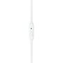 Наушники JBL T205 Rose Gold (JBLT205RGD) - 4