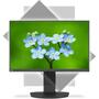Монитор NEC EA241F Black (60004786) - 3