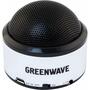 Акустическая система Greenwave PS-300M silver-black (R0015123) - 1