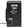 Акустическая система Greenwave SA-2512BT Black (R0015182) - 2