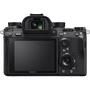 Цифровой фотоаппарат Sony Alpha 9 body black (ILCE9.CEC) - 1