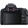 Цифровой фотоаппарат Canon EOS 250D 18-55 DC III Black kit (3454C009) - 1