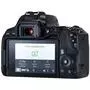 Цифровой фотоаппарат Canon EOS 250D 18-55 DC III Black kit (3454C009) - 6
