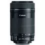 Объектив Canon EF-S 55-250mm 4-5.6 IS STM (8546B005) - 1