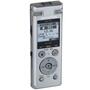 Цифровой диктофон Olympus DM-770 (8GB) (V414131SE000) - 4