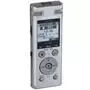 Цифровой диктофон Olympus DM-770 (8GB) (V414131SE000) - 4