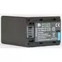 Аккумулятор к фото/видео PowerPlant Sony NP-FV100 (DV00DV1271) - 1