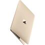 Ноутбук Apple MacBook A1534 (MRQN2UA/A) - 7