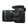 Цифровой фотоаппарат Nikon D5600 AF-P 18-140 Kit (VBA500K002) - 3