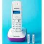 Аккумулятор Panasonic Eneloop AAA 750mAh NI-MH Dect Series * 3 (BK-4MCCE/3DE) - 2
