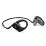 Наушники JBL Endurance Jump Black (JBLENDURJUMPBLK) - 1